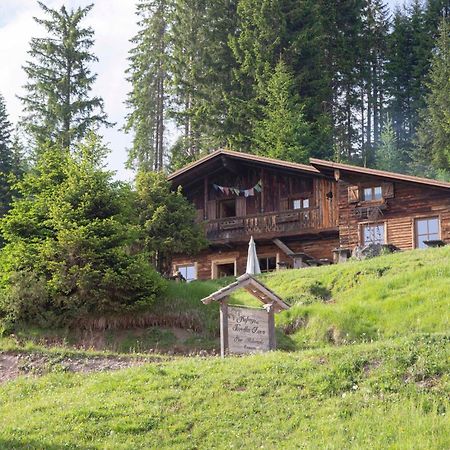 Hotel Rifugio Forcella Zovo San Pietro di Cadore Esterno foto