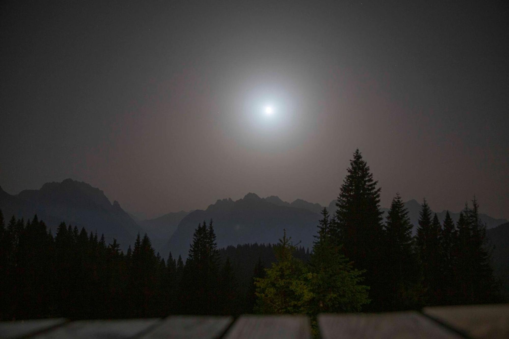 Hotel Rifugio Forcella Zovo San Pietro di Cadore Esterno foto