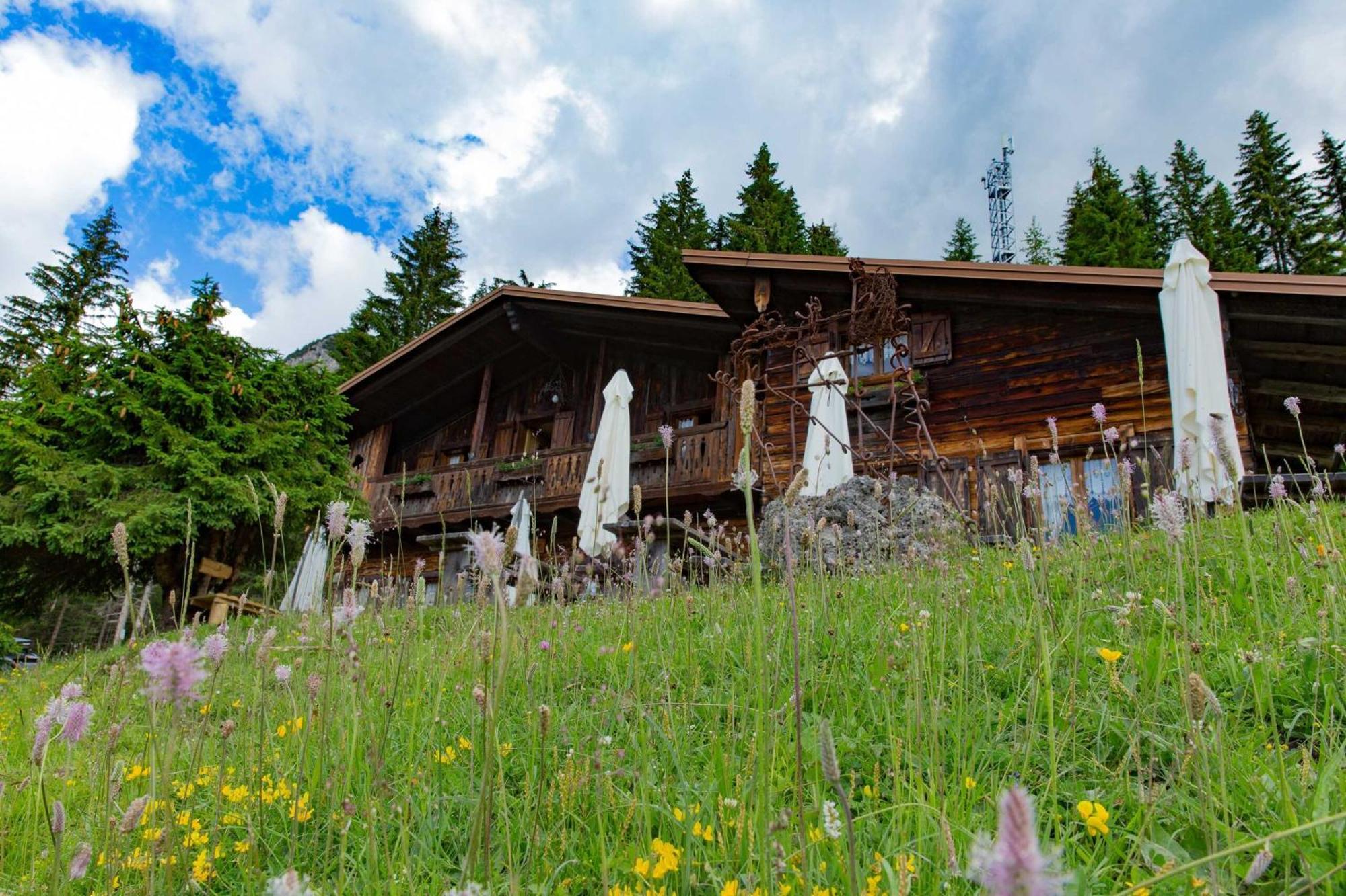 Hotel Rifugio Forcella Zovo San Pietro di Cadore Esterno foto